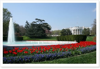 White House Rose Garden